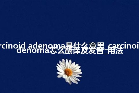 carcinoid adenoma是什么意思_carcinoid adenoma怎么翻译及发音_用法