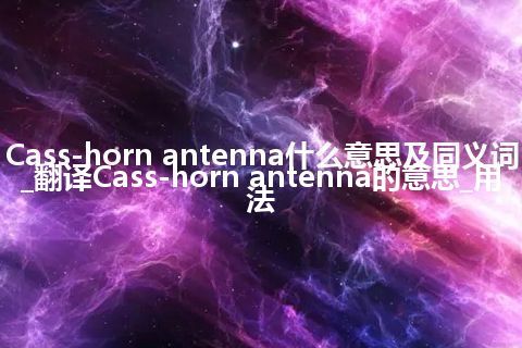 Cass-horn antenna什么意思及同义词_翻译Cass-horn antenna的意思_用法