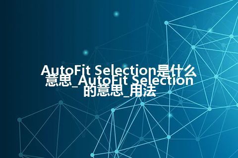 AutoFit Selection是什么意思_AutoFit Selection的意思_用法