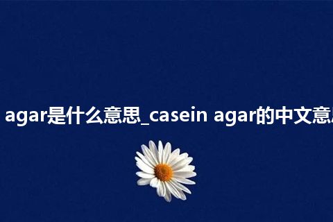 casein agar是什么意思_casein agar的中文意思_用法