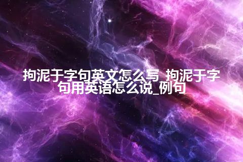 拘泥于字句英文怎么写_拘泥于字句用英语怎么说_例句