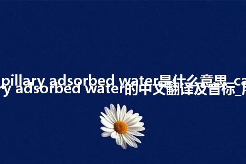 capillary adsorbed water是什么意思_capillary adsorbed water的中文翻译及音标_用法