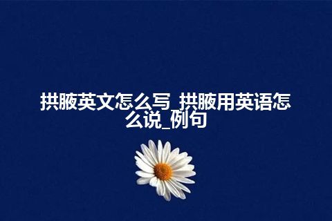 拱腋英文怎么写_拱腋用英语怎么说_例句