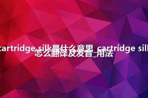 cartridge silk是什么意思_cartridge silk怎么翻译及发音_用法