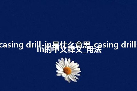 casing drill-in是什么意思_casing drill-in的中文释义_用法