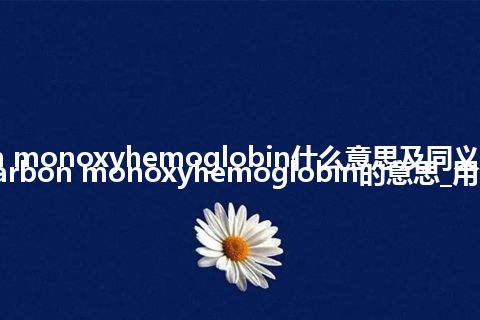 carbon monoxyhemoglobin什么意思及同义词_翻译carbon monoxyhemoglobin的意思_用法