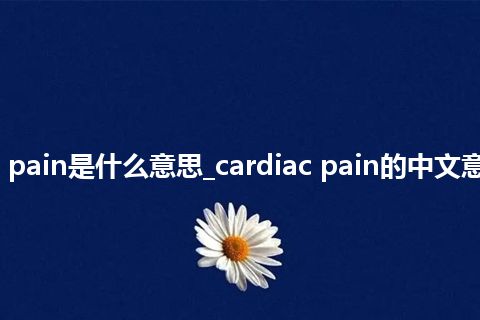 cardiac pain是什么意思_cardiac pain的中文意思_用法