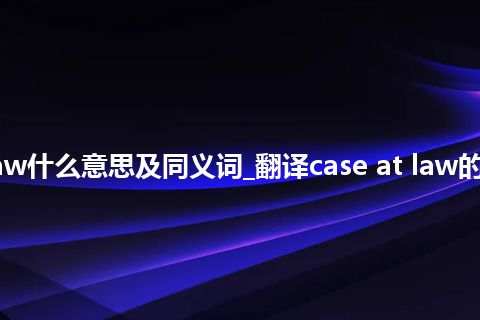 case at law什么意思及同义词_翻译case at law的意思_用法