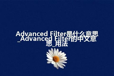 Advanced Filter是什么意思_Advanced Filter的中文意思_用法