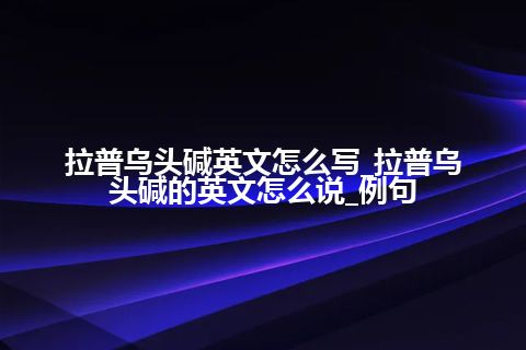 拉普乌头碱英文怎么写_拉普乌头碱的英文怎么说_例句