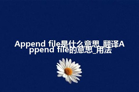 Append file是什么意思_翻译Append file的意思_用法