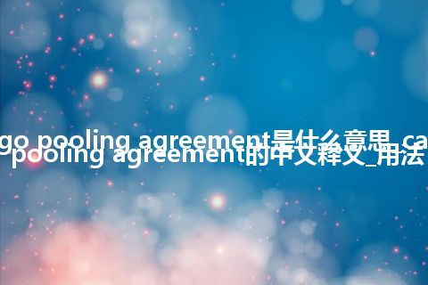 cargo pooling agreement是什么意思_cargo pooling agreement的中文释义_用法