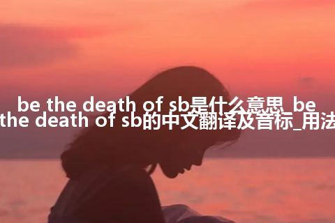 be the death of sb是什么意思_be the death of sb的中文翻译及音标_用法