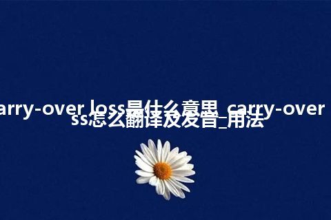 carry-over loss是什么意思_carry-over loss怎么翻译及发音_用法