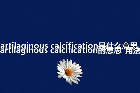 cartilaginous calcification是什么意思_cartilaginous calcification的意思_用法