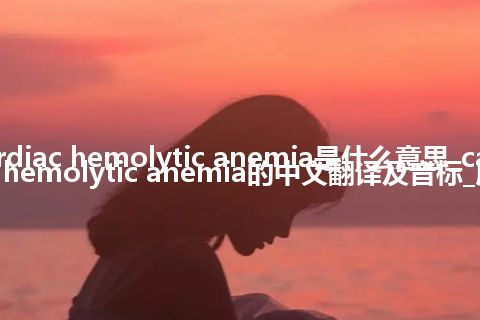 cardiac hemolytic anemia是什么意思_cardiac hemolytic anemia的中文翻译及音标_用法