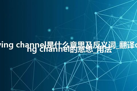 carrying channel是什么意思及反义词_翻译carrying channel的意思_用法