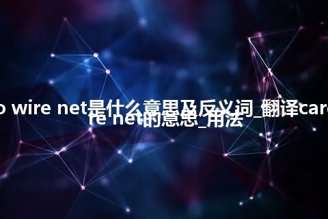 cargo wire net是什么意思及反义词_翻译cargo wire net的意思_用法