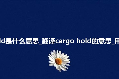 cargo hold是什么意思_翻译cargo hold的意思_用法_同义词