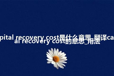 capital recovery cost是什么意思_翻译capital recovery cost的意思_用法