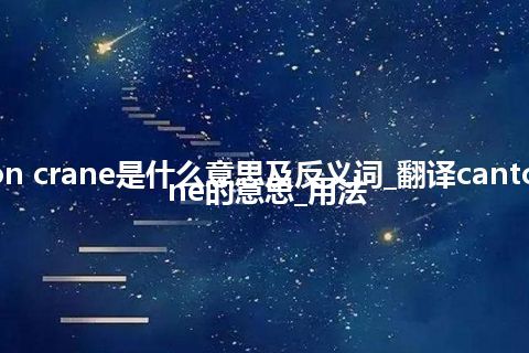 canton crane是什么意思及反义词_翻译canton crane的意思_用法