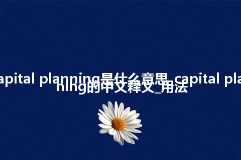 capital planning是什么意思_capital planning的中文释义_用法