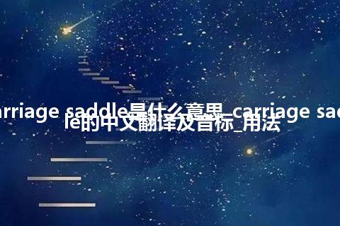 carriage saddle是什么意思_carriage saddle的中文翻译及音标_用法