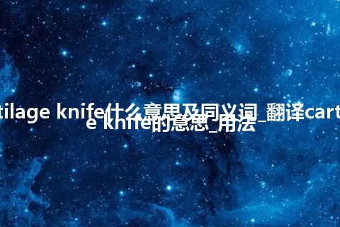 cartilage knife什么意思及同义词_翻译cartilage knife的意思_用法