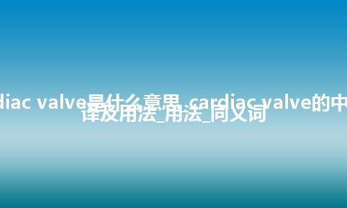 cardiac valve是什么意思_cardiac valve的中文翻译及用法_用法_同义词