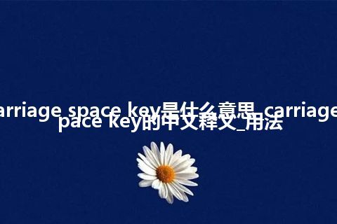 carriage space key是什么意思_carriage space key的中文释义_用法