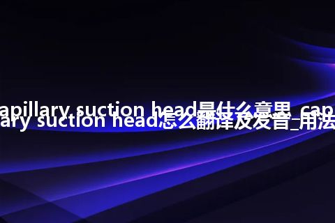 capillary suction head是什么意思_capillary suction head怎么翻译及发音_用法