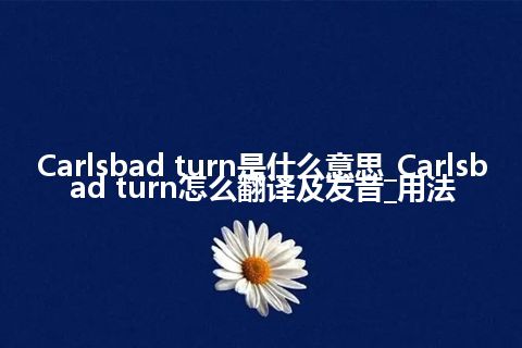 Carlsbad turn是什么意思_Carlsbad turn怎么翻译及发音_用法