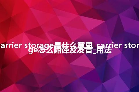 carrier storage是什么意思_carrier storage怎么翻译及发音_用法