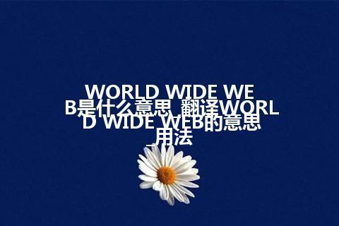 WORLD WIDE WEB是什么意思_翻译WORLD WIDE WEB的意思_用法