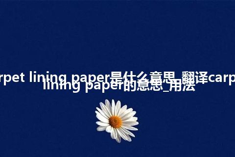 carpet lining paper是什么意思_翻译carpet lining paper的意思_用法