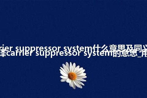 carrier suppressor system什么意思及同义词_翻译carrier suppressor system的意思_用法