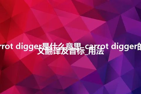 carrot digger是什么意思_carrot digger的中文翻译及音标_用法