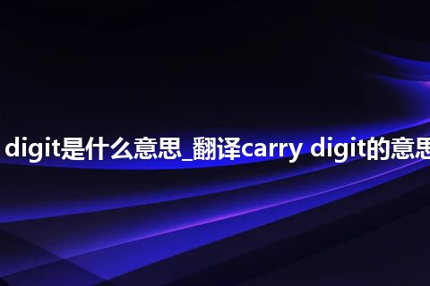 carry digit是什么意思_翻译carry digit的意思_用法