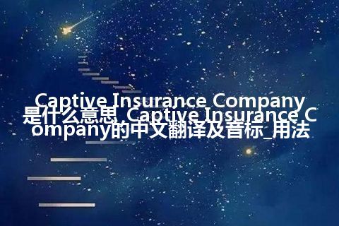 Captive Insurance Company是什么意思_Captive Insurance Company的中文翻译及音标_用法