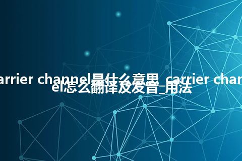 carrier channel是什么意思_carrier channel怎么翻译及发音_用法