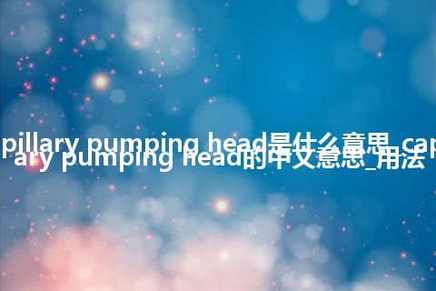 capillary pumping head是什么意思_capillary pumping head的中文意思_用法