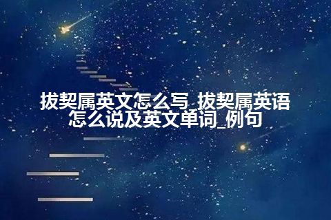 拔契属英文怎么写_拔契属英语怎么说及英文单词_例句