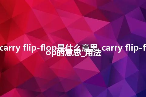 carry flip-flop是什么意思_carry flip-flop的意思_用法