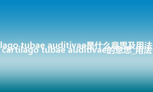 cartilago tubae auditivae是什么意思及用法_翻译cartilago tubae auditivae的意思_用法