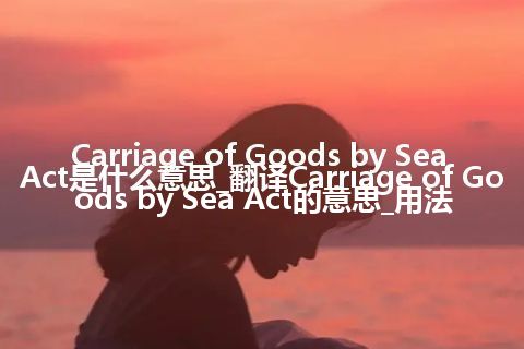 Carriage of Goods by Sea Act是什么意思_翻译Carriage of Goods by Sea Act的意思_用法