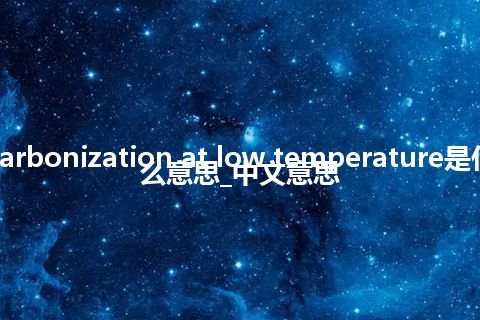 carbonization at low temperature是什么意思_中文意思