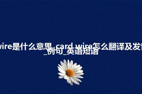 card wire是什么意思_card wire怎么翻译及发音_用法_例句_英语短语