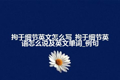 拘于细节英文怎么写_拘于细节英语怎么说及英文单词_例句