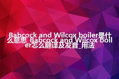 Babcock and Wilcox boiler是什么意思_Babcock and Wilcox boiler怎么翻译及发音_用法