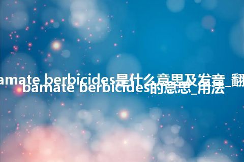 carbamate berbicides是什么意思及发音_翻译carbamate berbicides的意思_用法